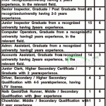 Assistant Manager & Accounts Officer Jobs in Public Sector Organization KPK