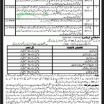 Educator Jobs 2014 for School Teachers in Distt. Swat