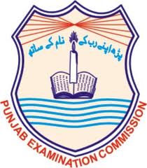 PEC Result 2015 8th Class & 5th Class Exams