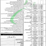 Punjab Counter Narcotics Force Jobs 2025 Latest Advertisement (Dec 02, 2025) ANF Job Ad