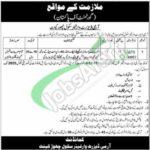 Army Desert Warfare School Jobs 2025 Chhor Cantt Latest Advertisement Army School Jobs Ad