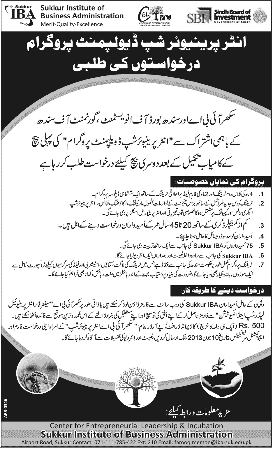 Entrepreneurship Jobs Required in Sukkur IBA