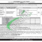PERA Investigation Officer Jobs 2025 Apply Online Across Punjab PERA IO Job Ad