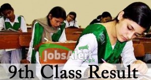 9th Class Result 2013
