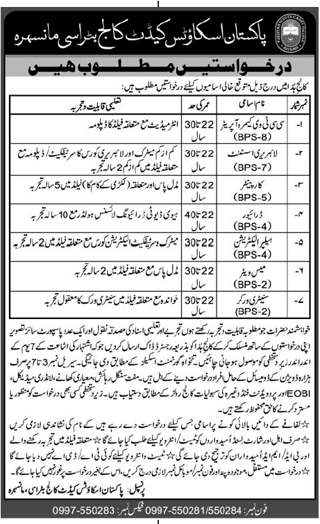 Jobs for CCTV & Library Assistant in Scouts Cadet College Mansehra