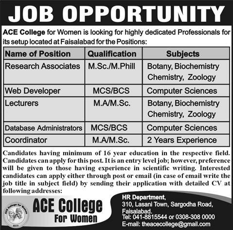Research Associate & Web Developer Jobs in ACE College, Faisalabad