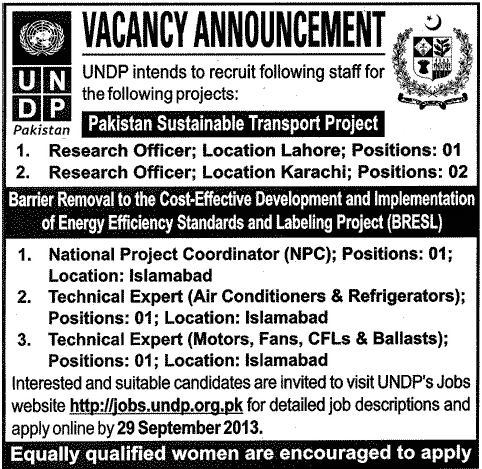 Research, Coordinator & Technical Experts Jobs in UNDP