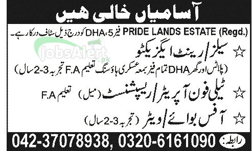 Receptionist & Office Boy Jobs in Pride Lands Estate, Lahore