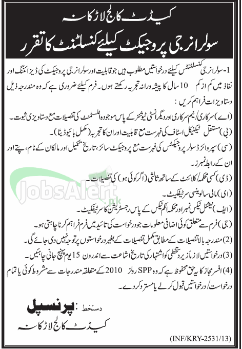 Consultant Jobs in Cadet College Larkana