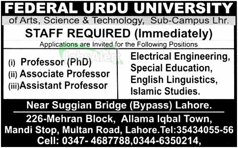 Professor Jobs in Federal Urdu University Lahore