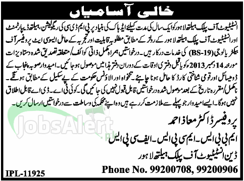 Jobs for Associate Professor in Institute of Public Health Lahore