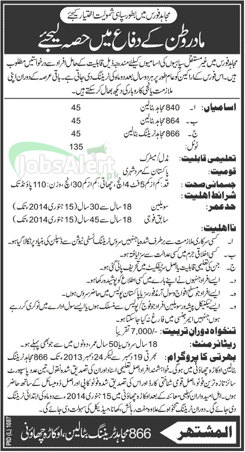 Jobs for Mujahid Battalion Force in Okara 2013