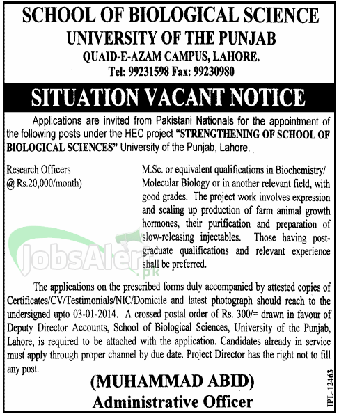Research Officer Jobs in School of Biological Science Punjab University