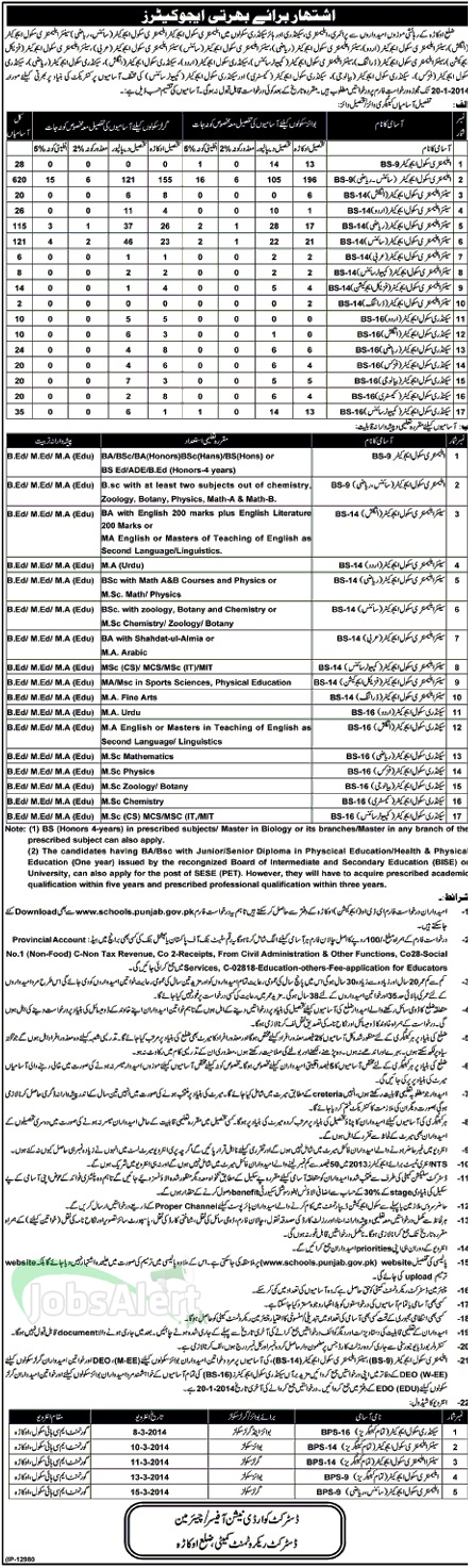 Jobs for Elementary School Educator  Teacher in District Okara