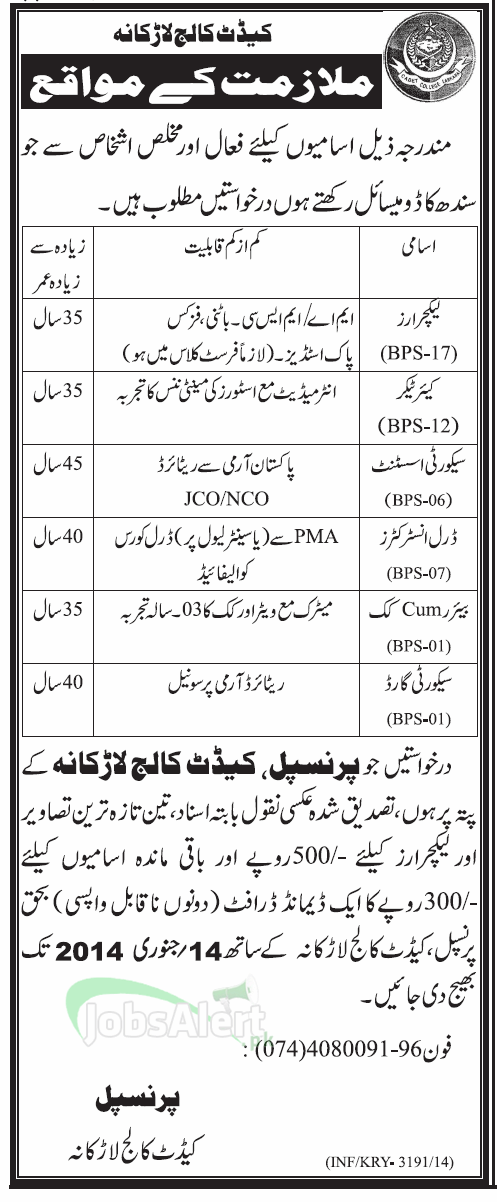 Jobs for Lecturer in Cadet College Larkana