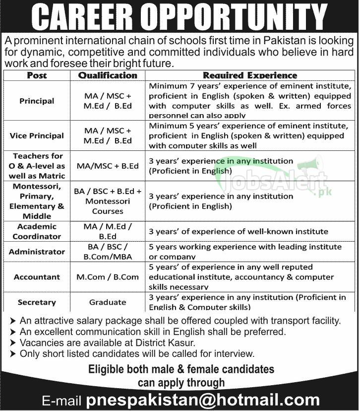 Principal, Vice Principal & Teacher Jobs in District Kasur