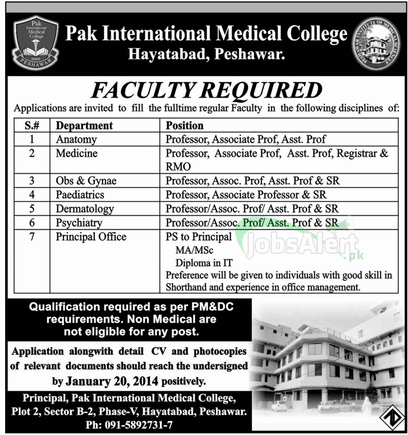 Professor Jobs in Pak International Medical College Hayatabad