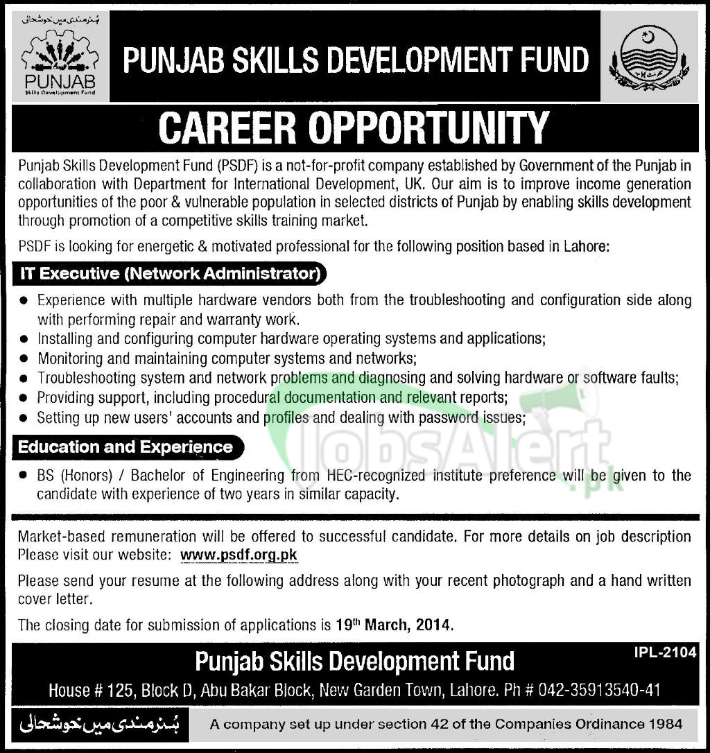IT Executive Jobs in Punjab Skills Development Fund Lahore