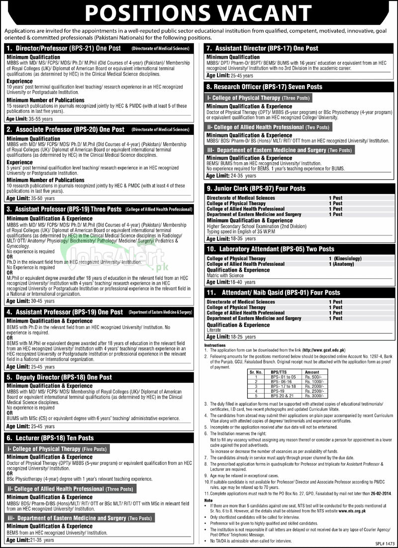 Jobs In NTS Public Sector Educational Institution Faisalabad