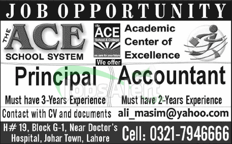 Principal & Accountant Jobs in The ACE School System LHR