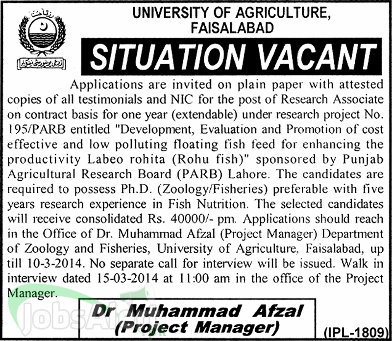 Research Associate Jobs in University of Agriculture Faisalabad