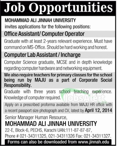 Computer Operator Jobs in Mohammad Ali Jinnah University Karachi