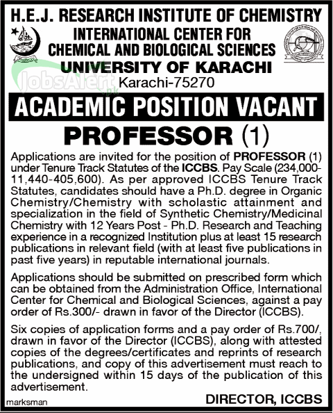 Professor Govt. Jobs 2014 in University of Karachi, Karachi