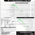 Anti Narcotics Force