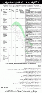 DHQ Hospital Faisalabad