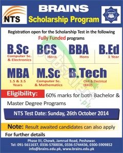 Brains Scholarship Program