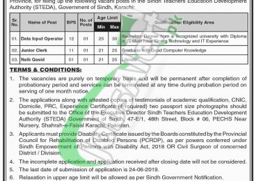 Sindh Teacher Education Development Authority Jobs