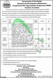 P & D Department Punjab