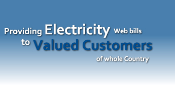Check Wapda Bill Online Electricity System Pakistan