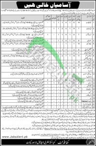 CMH Hospital Lahore Govt Jobs 2014 BPS-14 to BPS-01