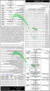 Educator Okara