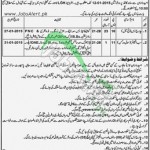 Lahore General Hospital Govt Jobs Opportunities 2014 Male & Female