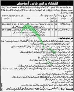 Lahore General Hospital Govt Jobs Opportunities 2014 Male & Female