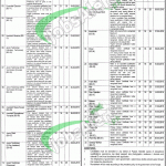 Punjab Institute of Mental Health Lahore