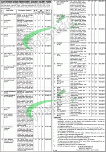 Punjab Institute of Mental Health Lahore