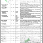 Pakistan Industrial Technical Assistance Centre