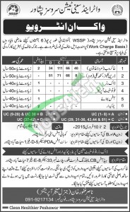 Water and Sanitation Services Peshawar