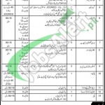 301 Spare Depot EME Pakistan Army Jobs