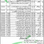 Benazir Bhutto Hospital Rawalpindi Jobs