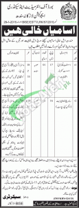 BISE Larkana Jobs