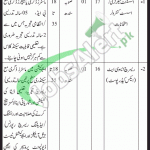 BISE Larkana Jobs