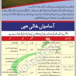 Defence Housing Authority Jobs