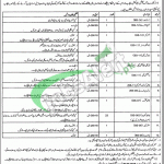 Directorate of Special Education Punjab Jobs