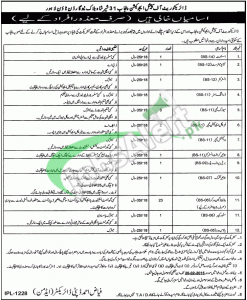 Directorate of Special Education Punjab Jobs