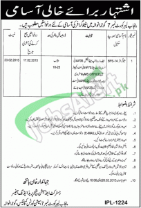 District & Session Court Gujranwala Jobs