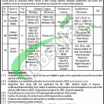 Divisional Public School Sahiwal Jobs